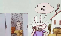 淫秽动漫,暗流涌动的虚拟世界